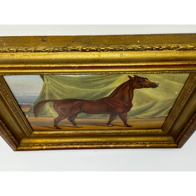 Circa Early 1900 English Victorian Oil Painting Purebred Red Chestnut Arab Horse in Bombay Stables I For Sale - Image 9 of 11