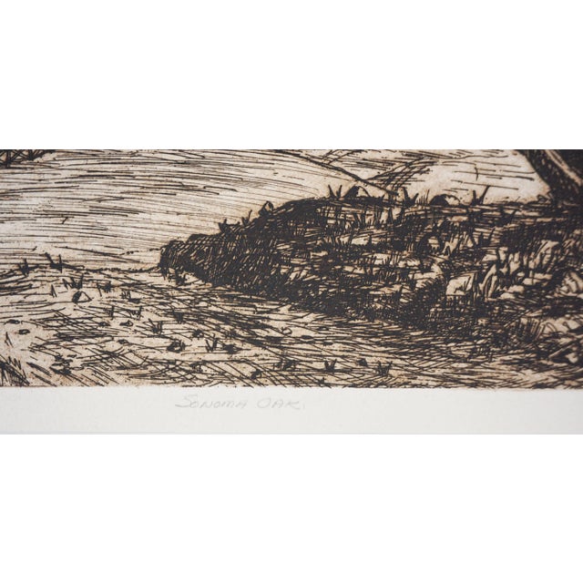 Vintage California Wine Country Etching - "Sonoma Oak" by Louis Bobbitt For Sale - Image 4 of 6