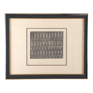 "Animal Locomotion", Eadweard Muybridge, 1887 Plate 88