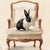 Contemporary Contemporary Reproduction Art Print of Vintage "Parlor Rabbit" (1), Framed For Sale - Image 3 of 5