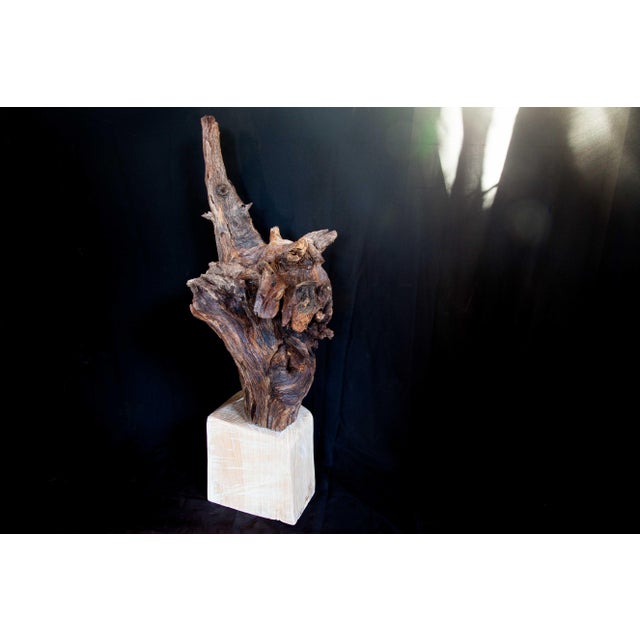 Wabi Sabi Root Wood Sculpture For Sale - Image 4 of 13