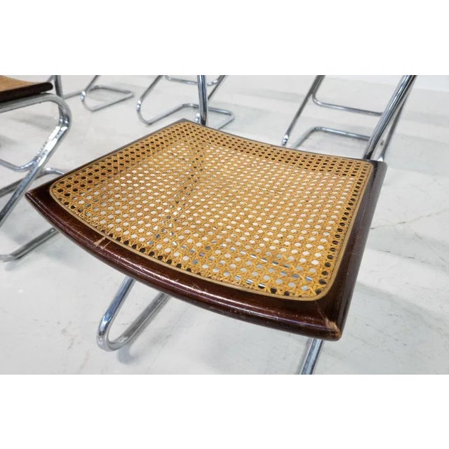 Silver Mid-Century Modern Italian Cane Chairs, 1960s, Set of 6 For Sale - Image 8 of 12