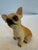 Ceramic Ceramic Lifelike Chihuahua For Sale - Image 7 of 10