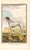 1758 Buffon Dog Engraving "Le Braque De Bengale" (Bengal or Indian Pointer) For Sale