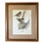 Vintage Robin Bird Reproduction Print Michael James Riddet Ornithology Wall Art Wood Frame For Sale