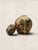 1910s Antique Small Ceramic Satsuma Ginger Jar For Sale - Image 5 of 9