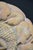 Gothic Tudor Lindwurm Dragon Relief in Farran Stone, 2000 For Sale - Image 11 of 14