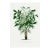 Vintage Palm Tree Illustration, Botanical Art Print Reproduction, 16" X 24" For Sale