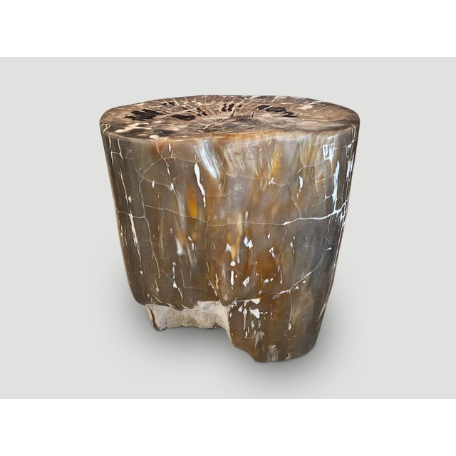 Contemporary Andrianna Shamaris Ancient Petrified Wood Side Table For Sale - Image 3 of 6