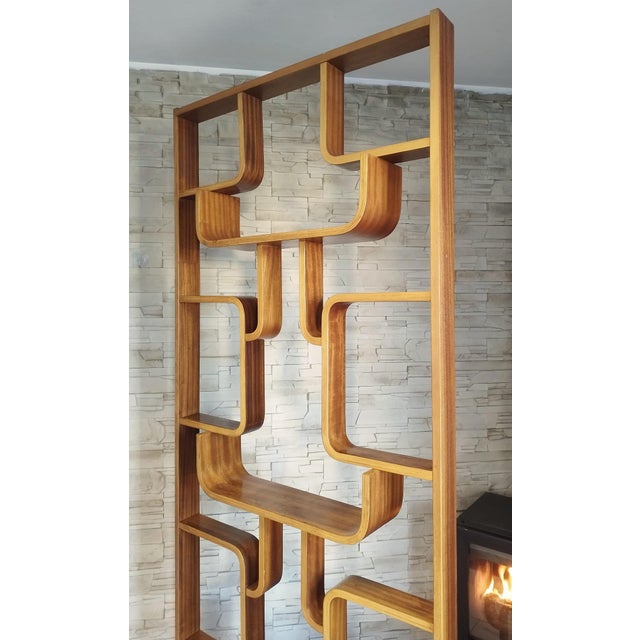Brown Wall Divider by Ludvik Volak for Drevopodnik Holesov For Sale - Image 8 of 18