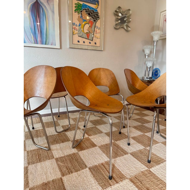 Mid-Century Modern A Set of 8 Mid Century Modern Italian “Medea” Chairs, Designed by Vittorio Nobili for F.lli Tagliabue, Circa 1950s. Not Markd. For Sale - Image 3 of 12