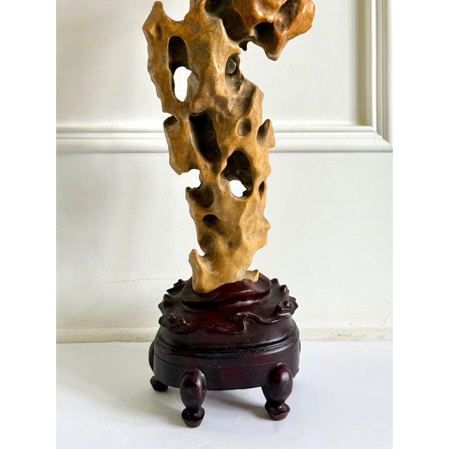 Tall Elegant Chinese Scholar Rock Yellow Taihu Stone on Wood Stand For Sale - Image 9 of 18