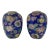 Chinoiserie Floral Vases - a Pair For Sale