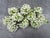 White Green Floral Napkin Ring - Set of 10 For Sale - Image 15 of 16