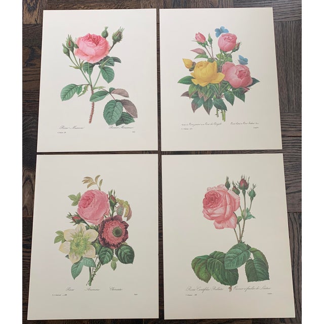 Set of 4 Large Unframed Botanical Prints III Chairish