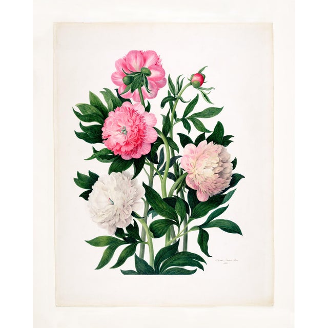 Six stunning Botanical prints remastered from artist Clara Pope, one of the most acclaimed Victorian-era Botanical...