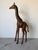 Mid-Century Modern Tall - Vintage Leather-Wrapped Giraffe Sculpture For Sale - Image 3 of 12