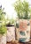 This listing is for approximately 37.5 yards of new fabric. Current price: $184 per yard Overall value: $6,900 Offered at...