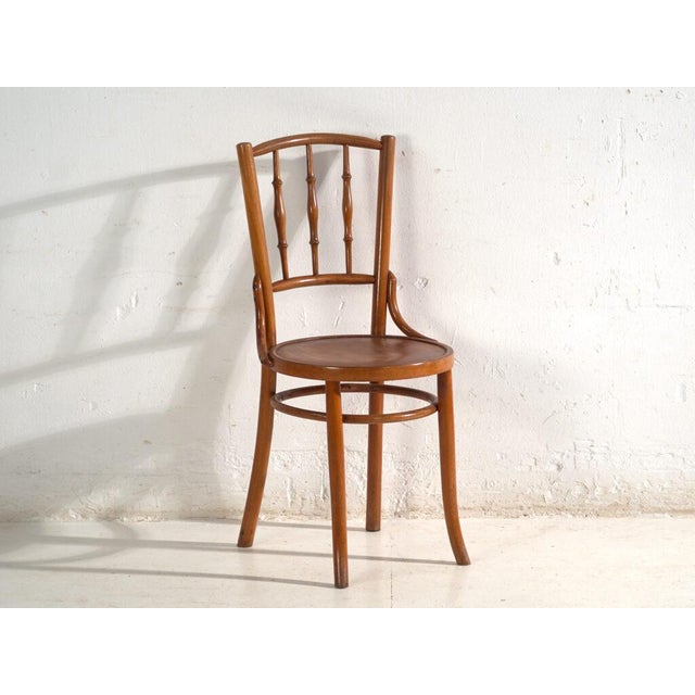 Bentwood Chairs in the style of Thonet, Central Europe, 1930, Set of 4 For Sale - Image 13 of 17