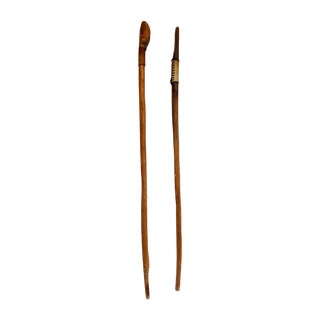 Saguaro Cactus Hiking Walking Sticks - Pair For Sale