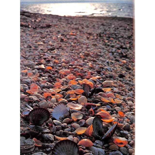 Paper "New England Coast" 1976 Minton, M. Cronan For Sale - Image 7 of 9