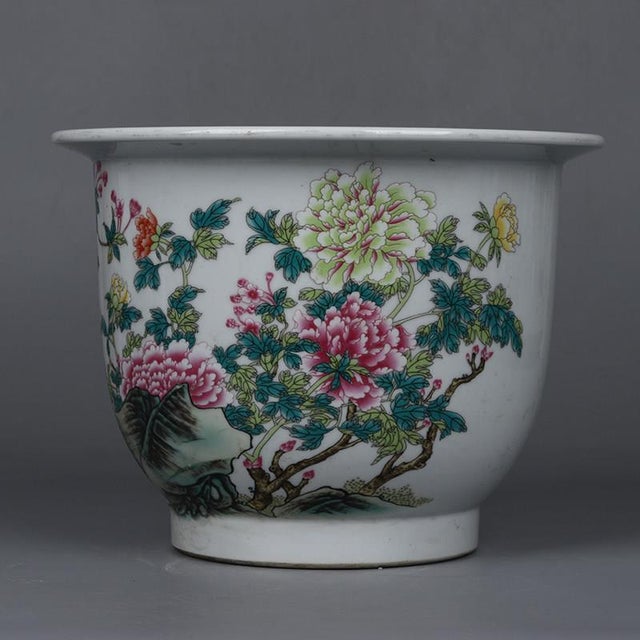 This elegant porcelain planter features a classic silhouette with a flared rim, resting upon a slightly tapered foot. The...
