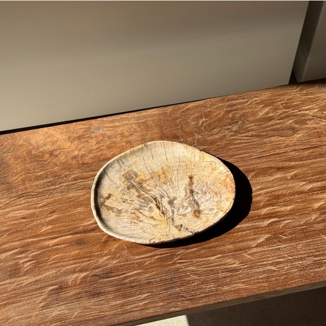 Small Oval Trinket Dish or Tray in Beige Petrified Wood with Crystal Rings, d25-20.5 -3313 For Sale - Image 14 of 18