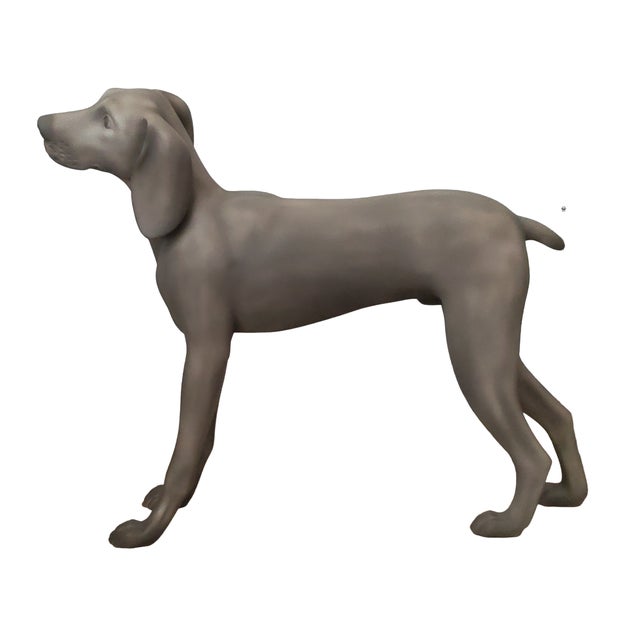 Authentic Goldsmith Inc. Nyc "Aldo" Fiberglass Weimaraner Dog Mannequin Sculpture For Sale