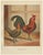Golden Penciled Chicken, 1888, Lithograph on Paper For Sale - Image 10 of 10