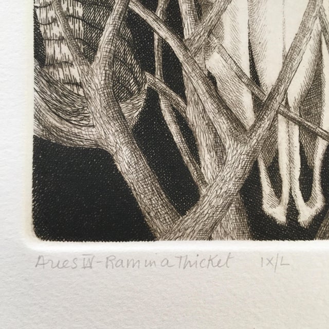 1970s Signed, Limited Edition Etchings of Ram Skulls by Elizabeth Quandt - Set of 4 For Sale In San Francisco - Image 6 of 9