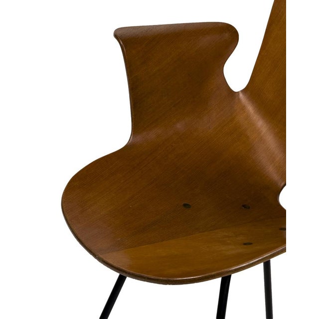Brown Vintage Bentwood Medea Chair by Vittorio Nobili for Fratelli Tagliabue, Italy, 1950s For Sale - Image 8 of 10