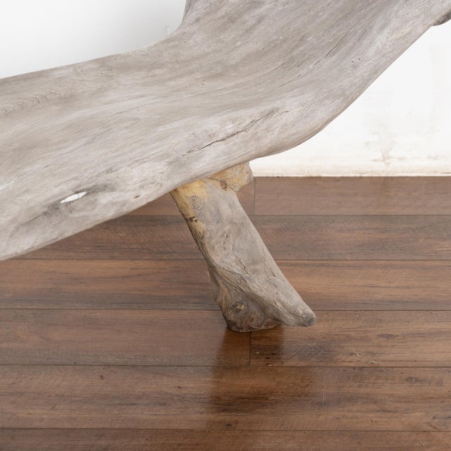 Gray Large Organic Teak Root Bench, Circa 1940-60 For Sale - Image 8 of 12