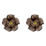 Aspen Studs, Brown (Clip On) For Sale