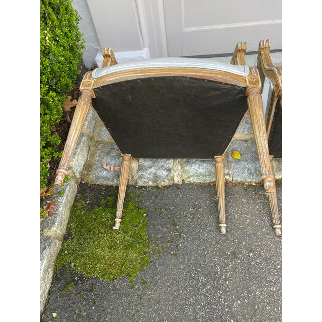 Late 19th Century Set of 6 Louis XVI Dining Chairs For Sale - Image 12 of 17