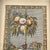 Wood Vintage Hand Colored Engraving Old World European Fruit Swag For Sale - Image 7 of 18