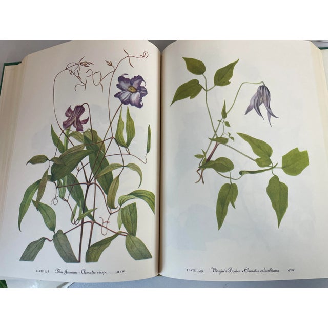 Paper 1978 “Wild Flowers of America” Illustrated Book For Sale - Image 7 of 11