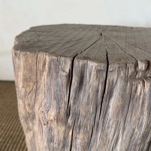 Antique Elm Wood Stump Table For Sale In Los Angeles - Image 6 of 7