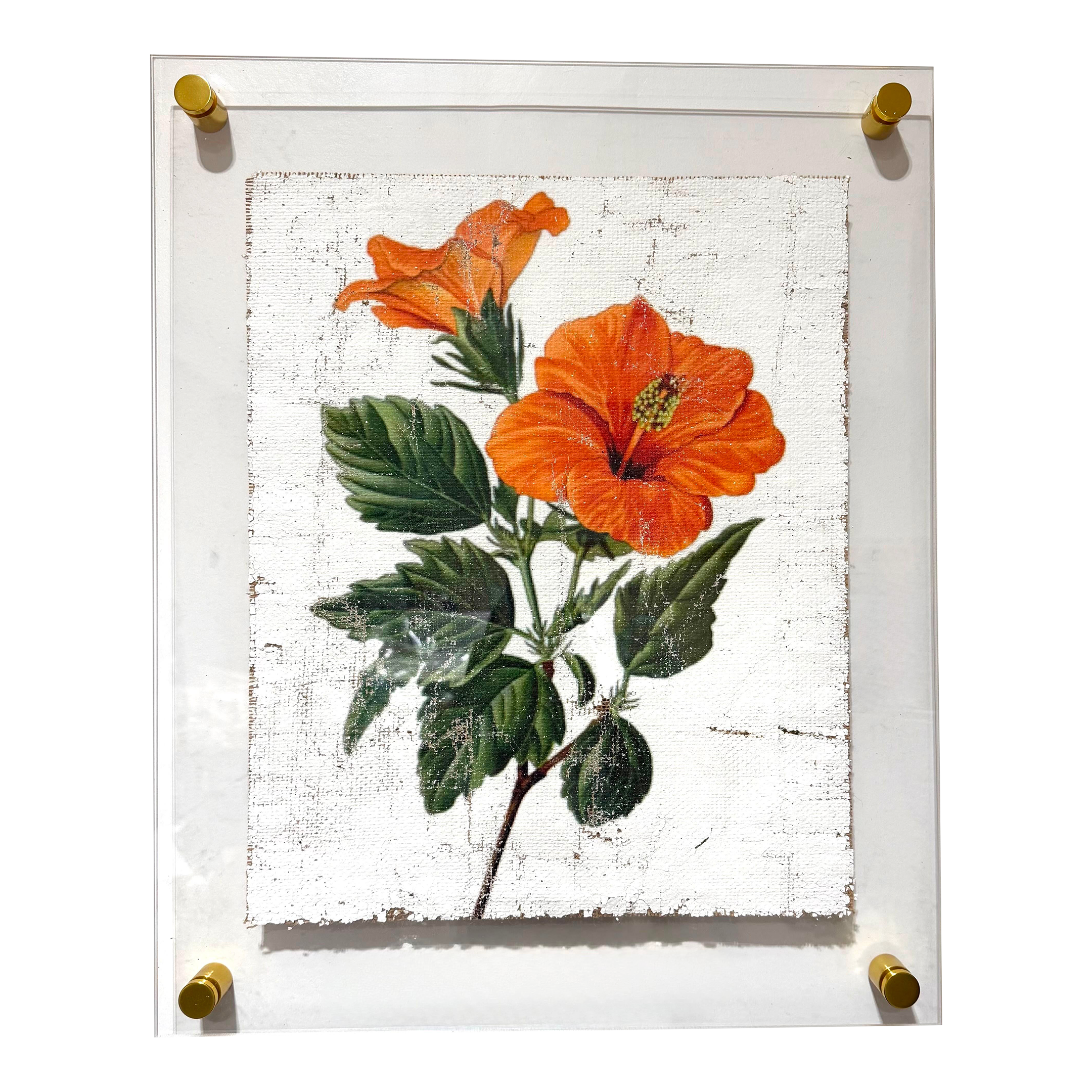Orange Tropical Hibiscus - Hand Textured Orange Flower Art | Chairish