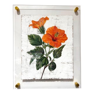 Orange Tropical Hibiscus - Hand Textured Orange Flower Art For Sale
