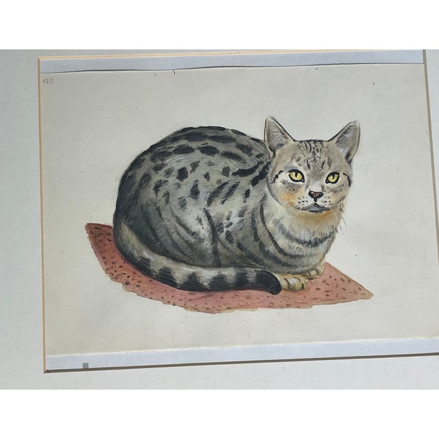 Set of 4 vintage watercolor cat portraits framed under glass.