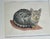 Set of 4 vintage watercolor cat portraits framed under glass.