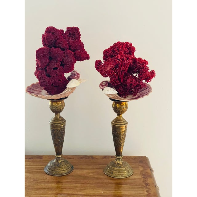 Gorgeous Pair of Sea Marine Assemblage on 19 Th C Brass Stands For Sale - Image 10 of 10