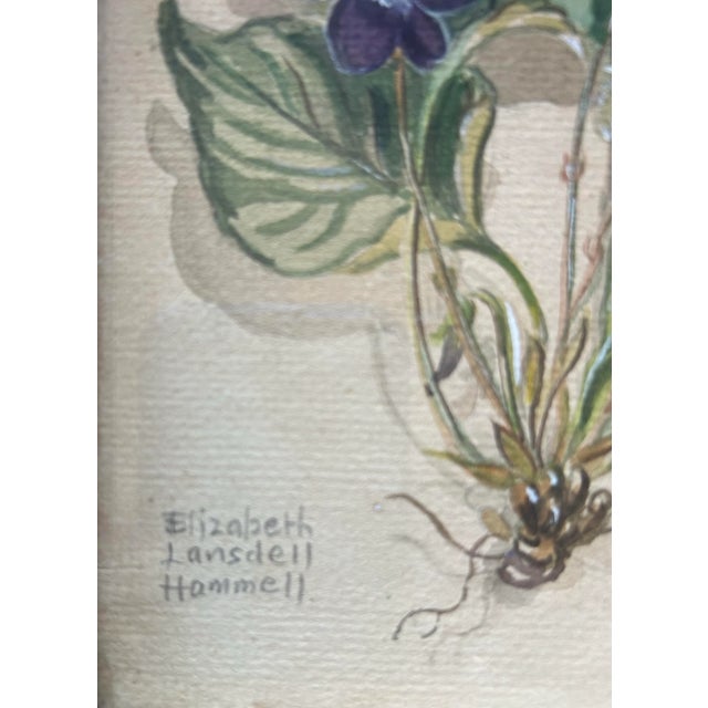 1930s Petite Antique 1930’s Detailed Watercolor of Violets by Elizabeth Lansdell Hammell For Sale - Image 5 of 6