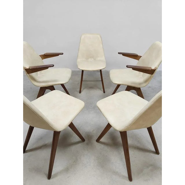 1950s Mid-Century Dutch Dining Chairs J. van Os Culemborg, 1950s, Set of 5 For Sale - Image 5 of 7