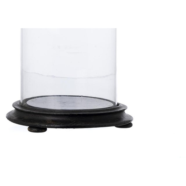 Crystal Glass Dome, 19th Century For Sale - Image 5 of 8
