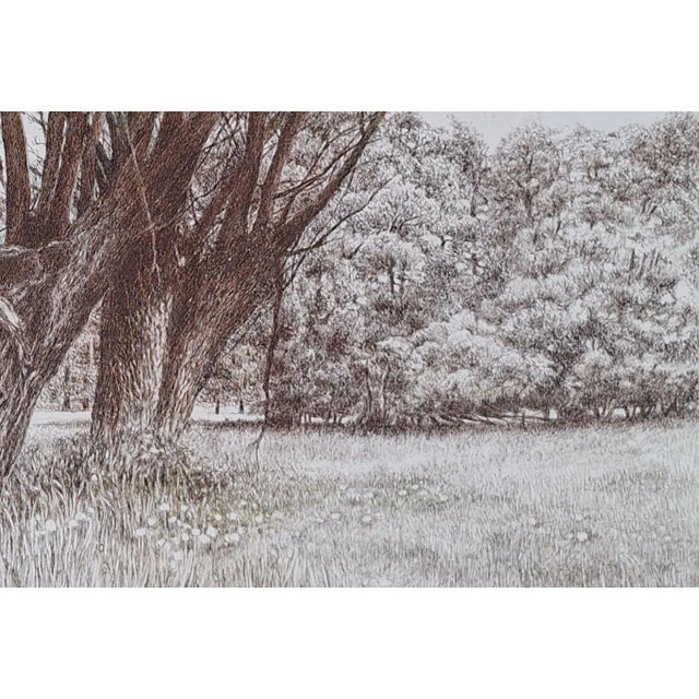 Early 21st Century Elzbieta Siegoczynska, Willows, 2025, Ink on Paper For Sale - Image 5 of 6