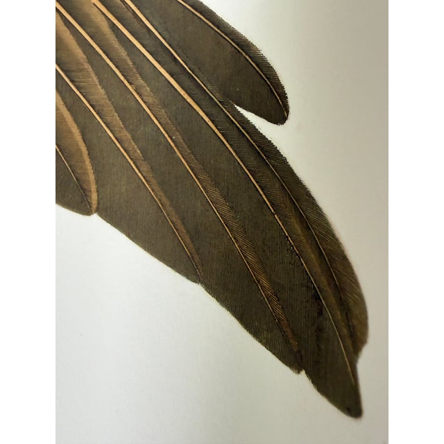 After John James Audubon Fish Hawk (Osprey) Giclée Print, 20” X 30” For Sale In Washington DC - Image 6 of 6