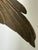 After John James Audubon Fish Hawk (Osprey) Giclée Print, 20” X 30” For Sale In Washington DC - Image 6 of 6