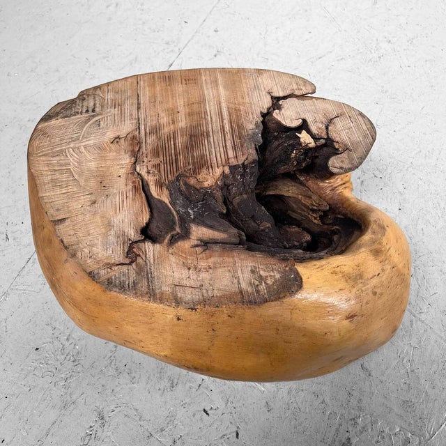 Brown Japanese Burl Root Plant Stand, 1950s For Sale - Image 8 of 14