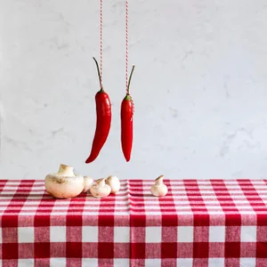 "Hang On!" Contemporary Still Life Photograph by Marlou Pulles